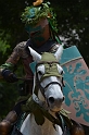 SFaire_2012 (520)
